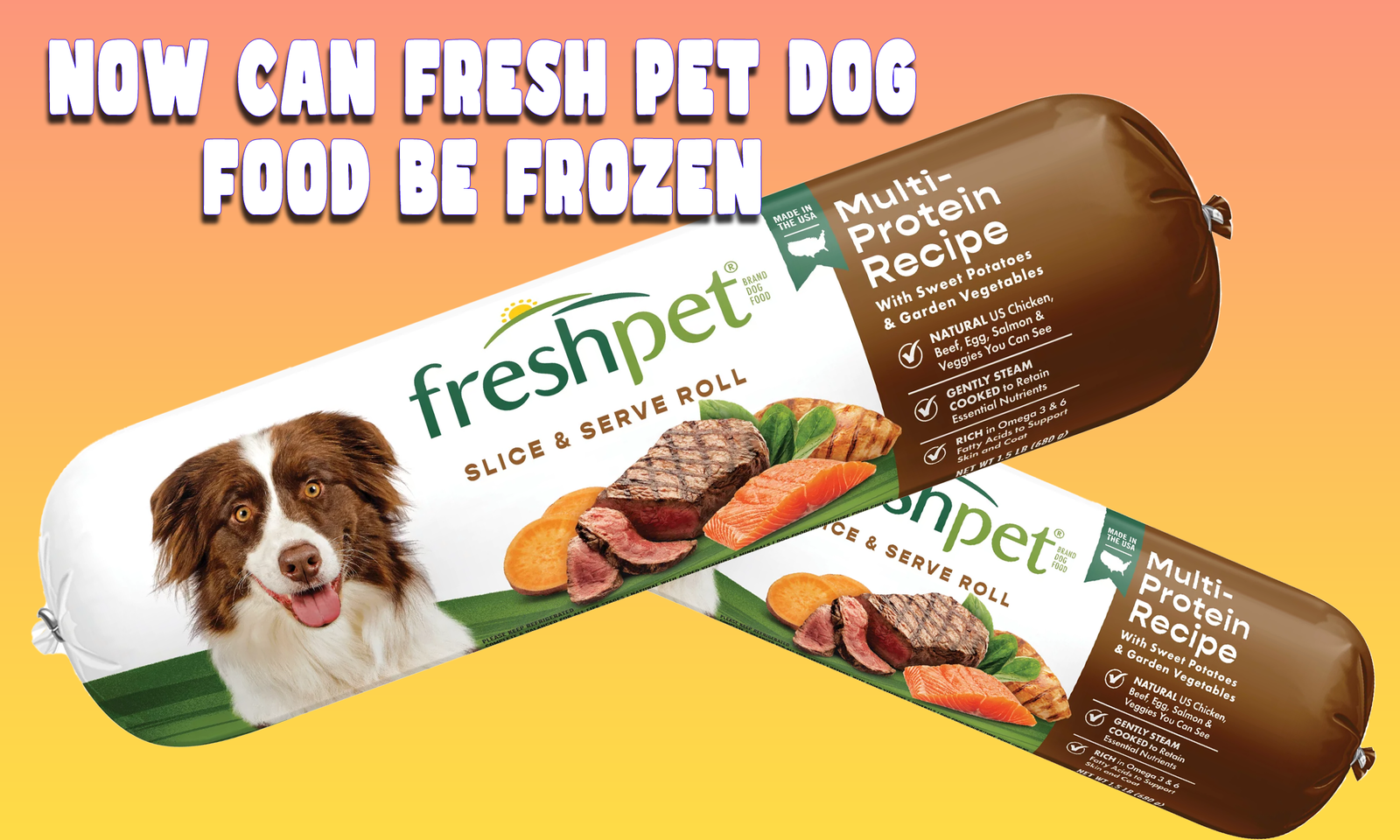 Now Can Fresh Pet Dog Food Be Frozen