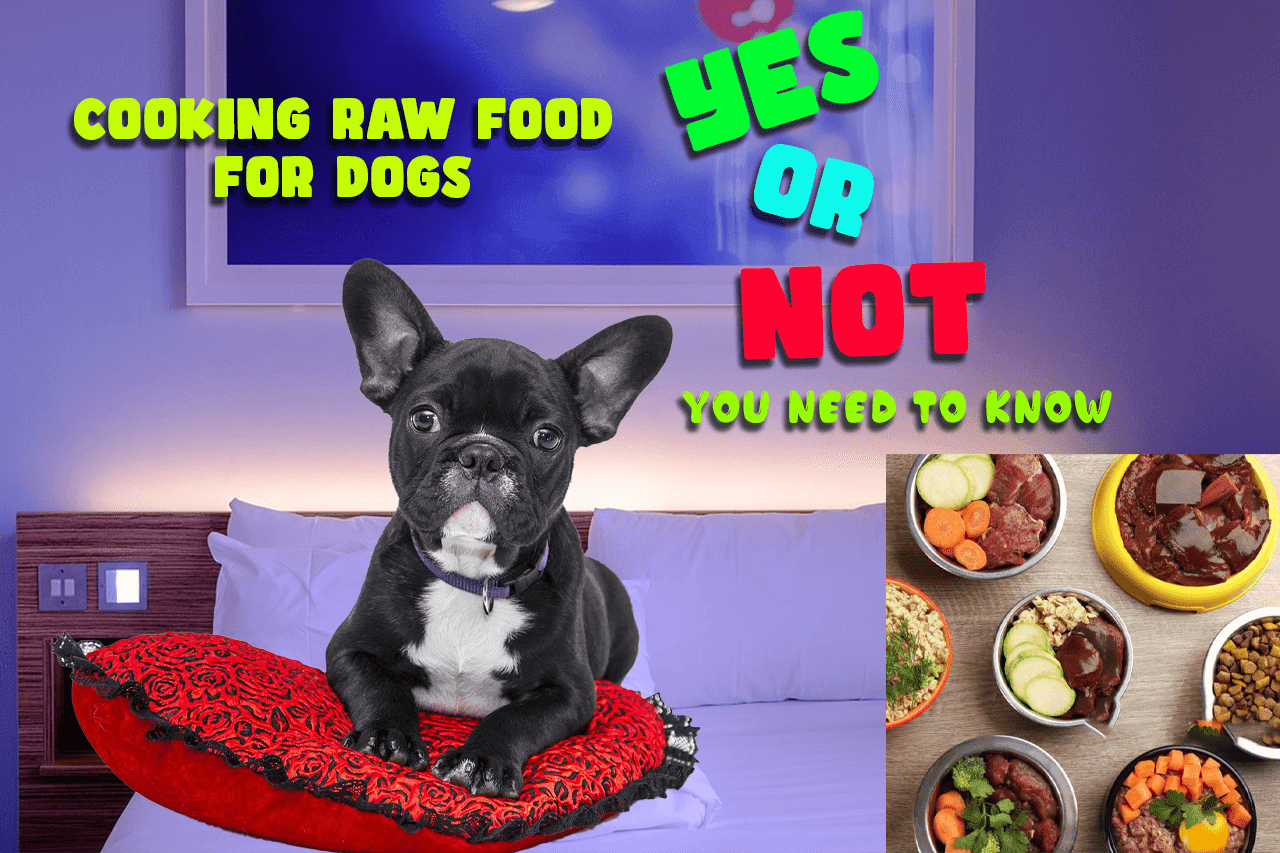 Cooking Raw Food for Dogs