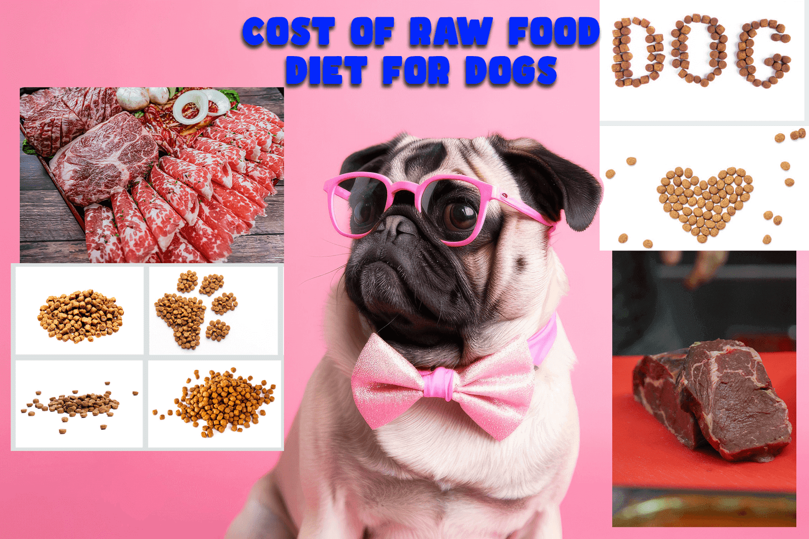 Cost of Raw Food Diet for Dogs
