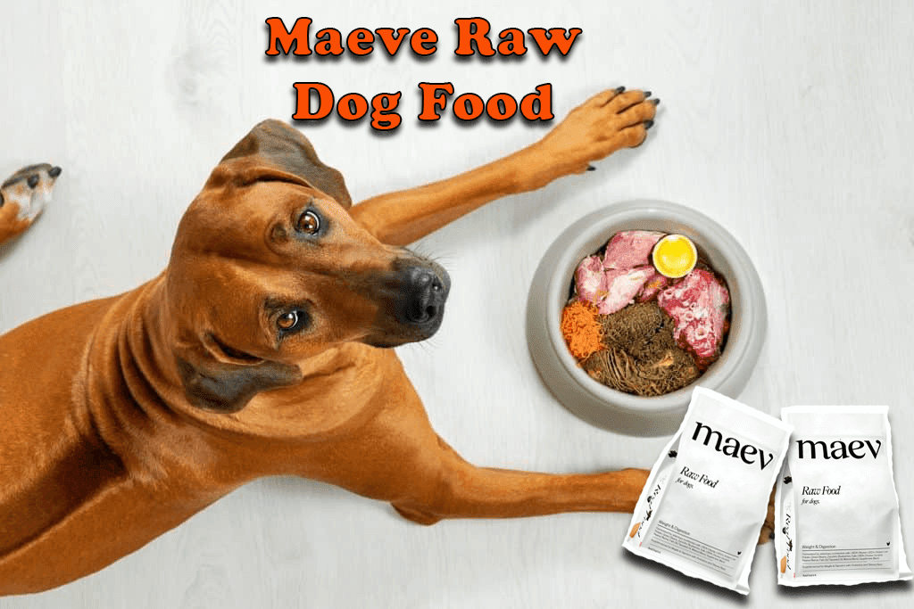 Maeve Raw Dog Food