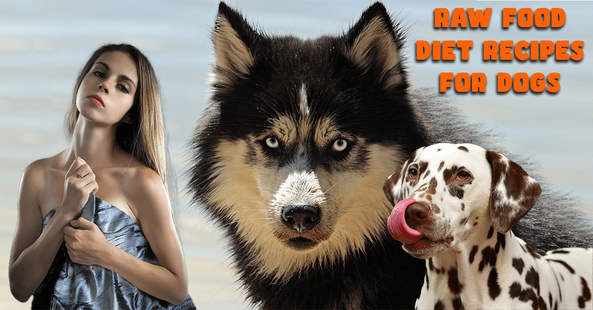 Raw Food Diet Recipes for Dogs
