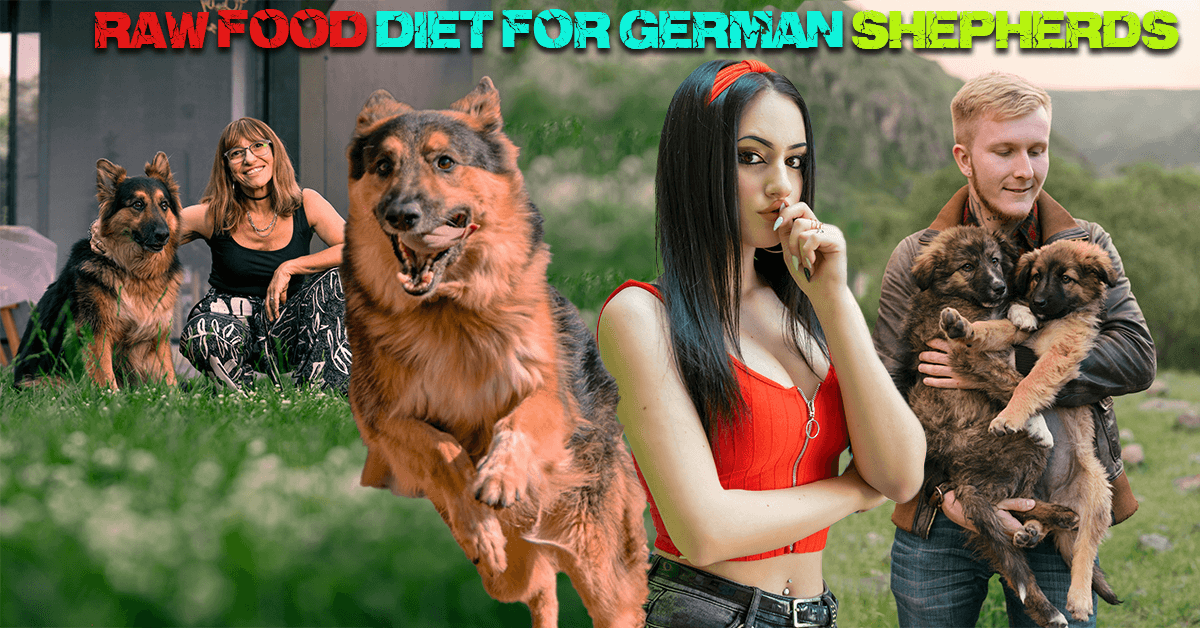 Raw Food Diet for German Shepherds