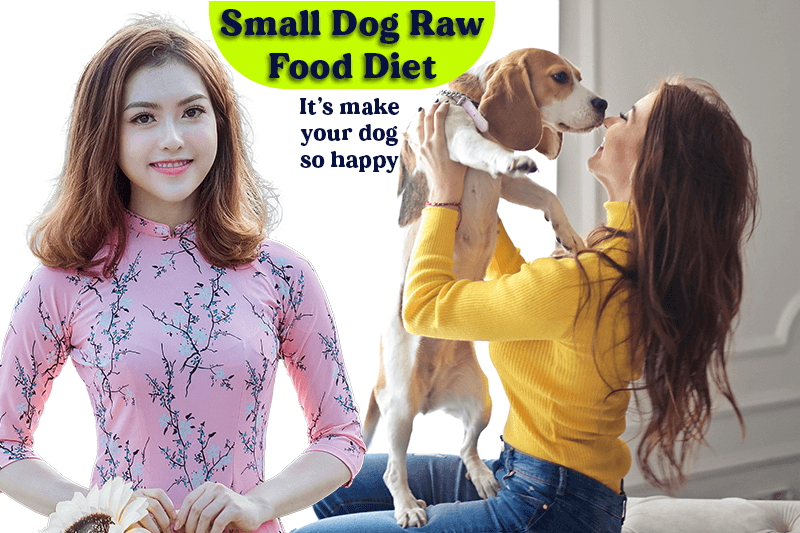 Small Dog Raw Food Diet