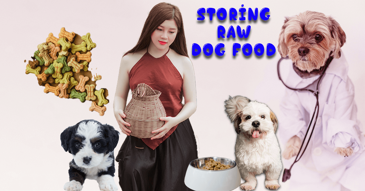 storing raw dog food