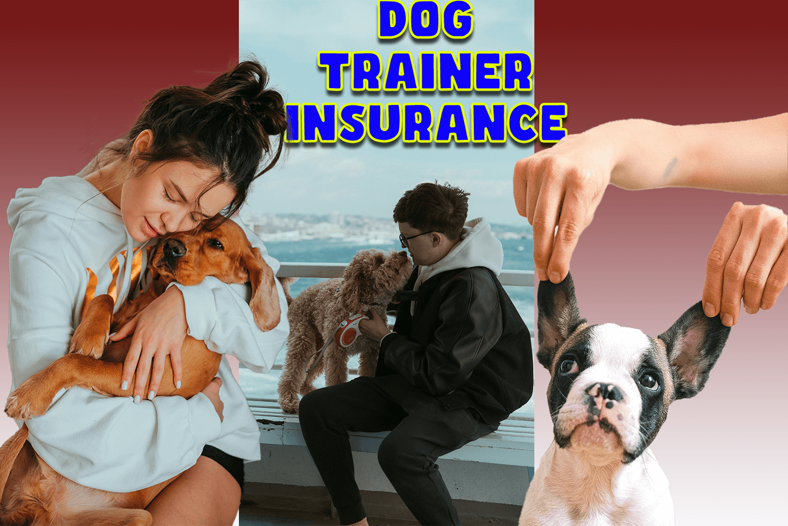 Dog Trainer Insurance