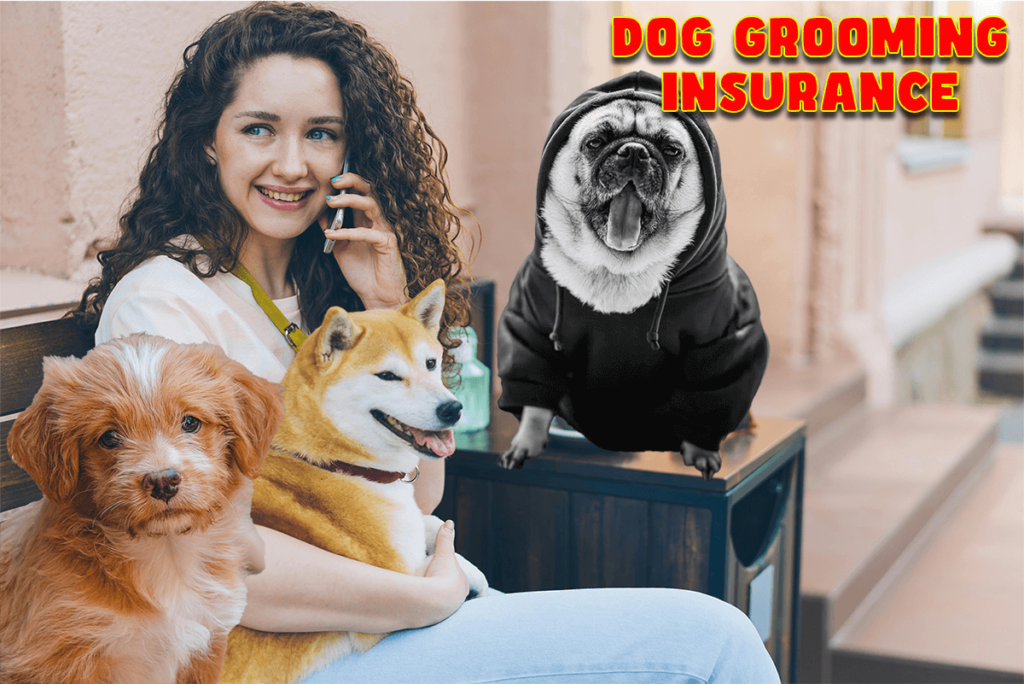 dog grooming insurance