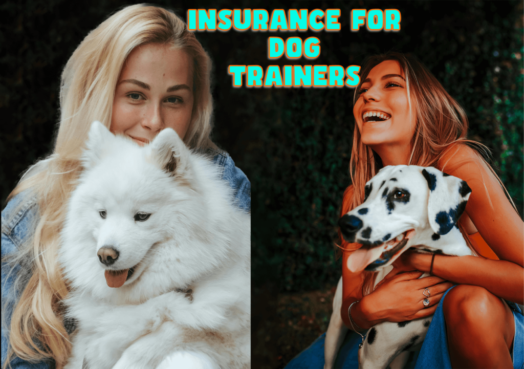 Insurance for Dog Trainers