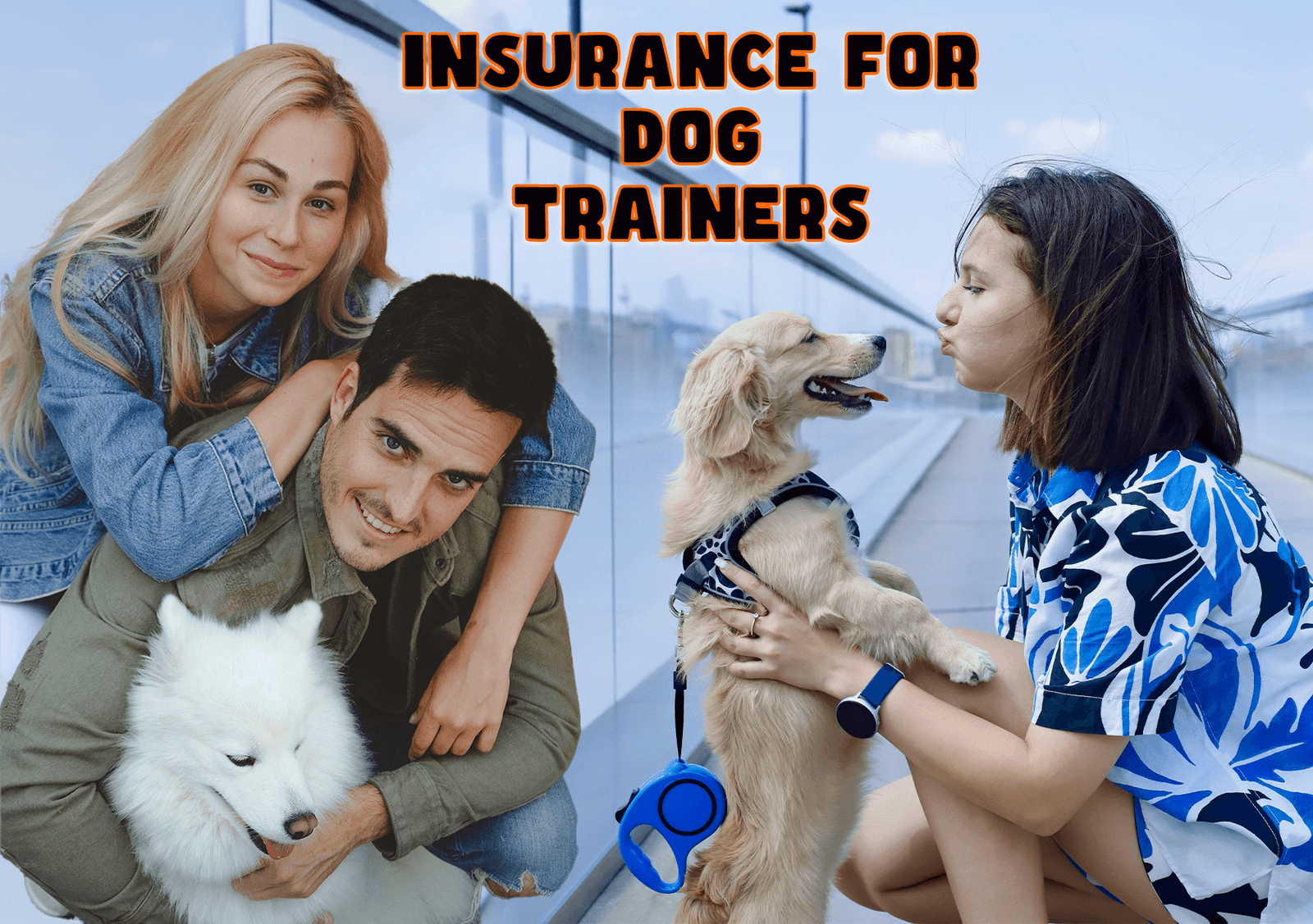 Insurance for Dog Trainers