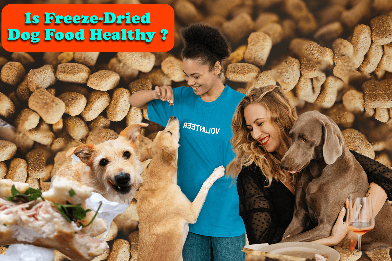 Is Freeze-Dried Dog Food Healthy