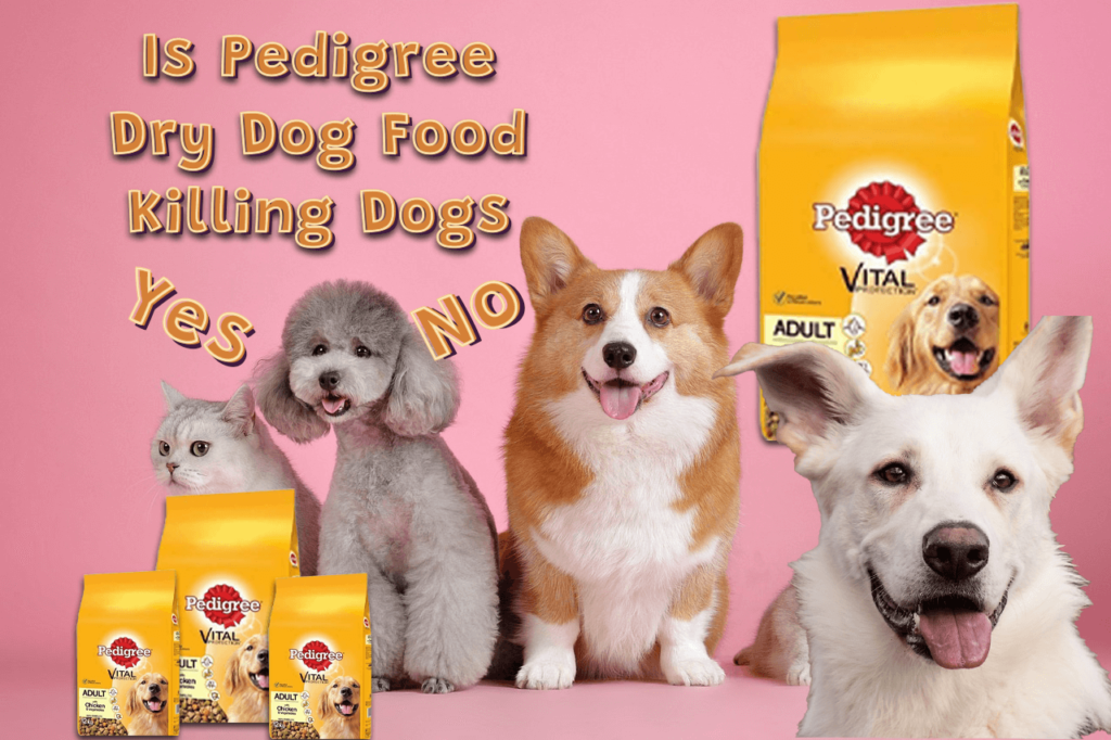 is Pedigree Dry Dog Food Killing Dogs