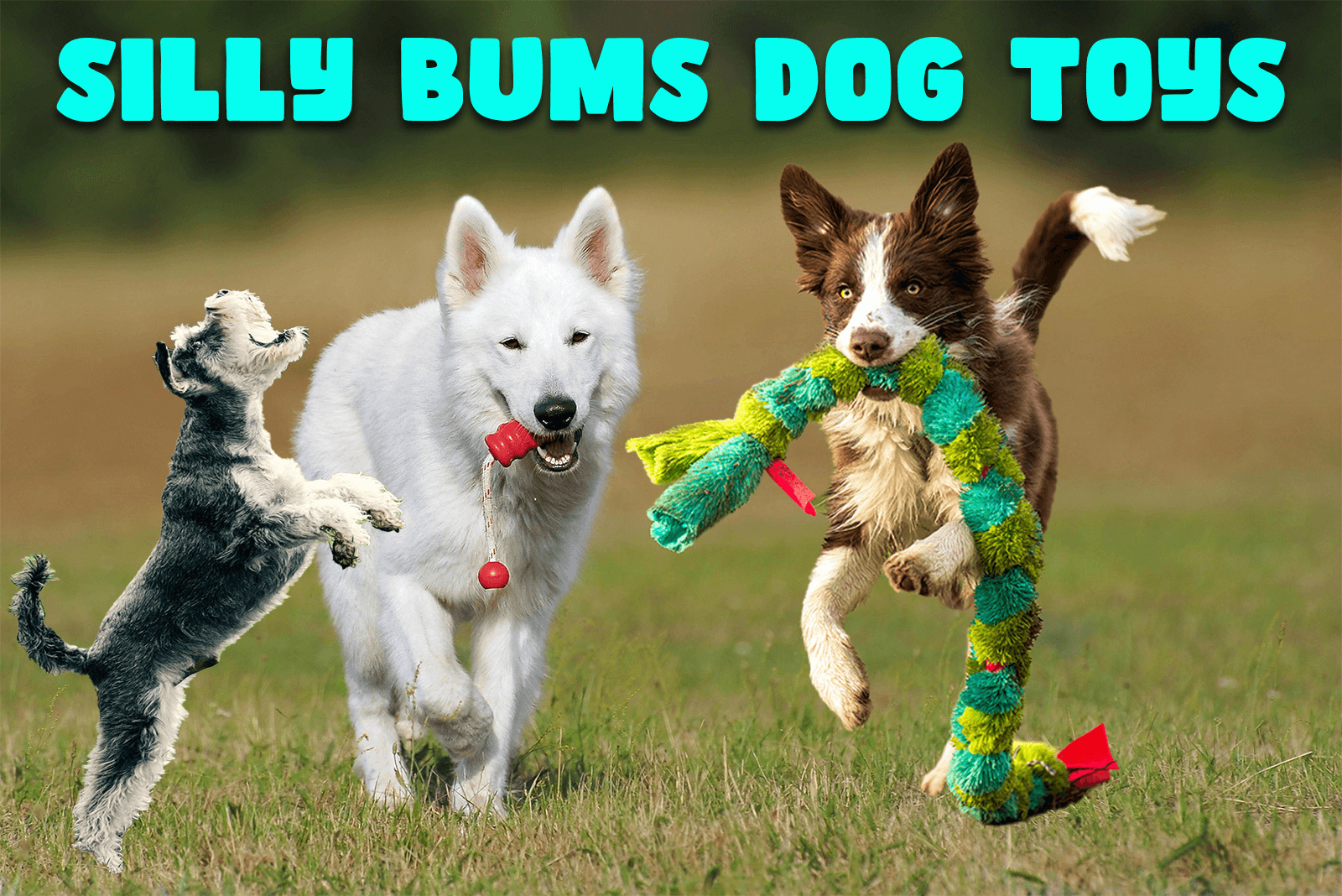 Silly Bums Dog Toys