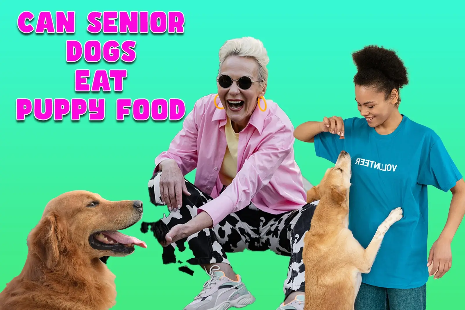 can senior dogs eat puppy food
