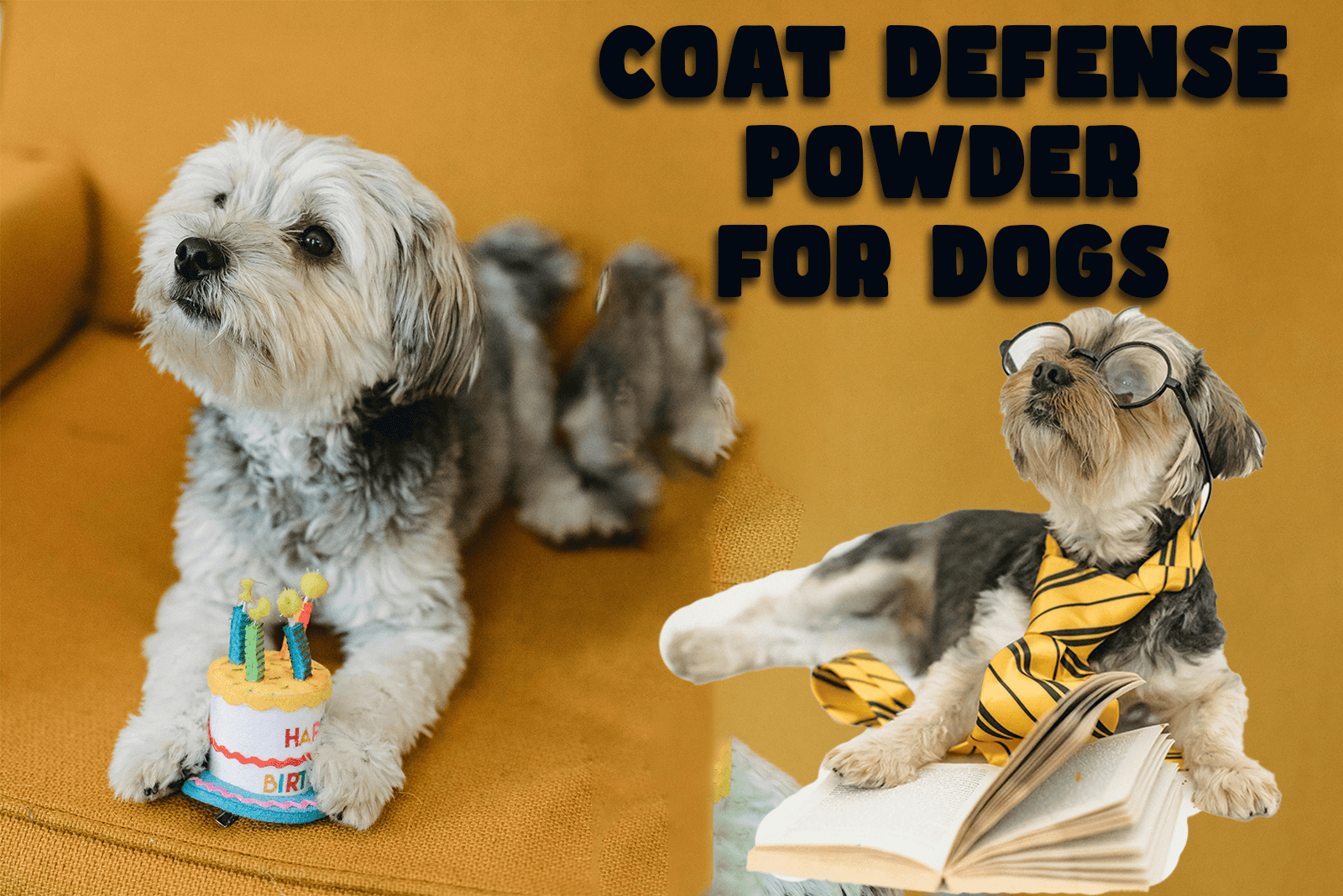 coat defense powder for dogs