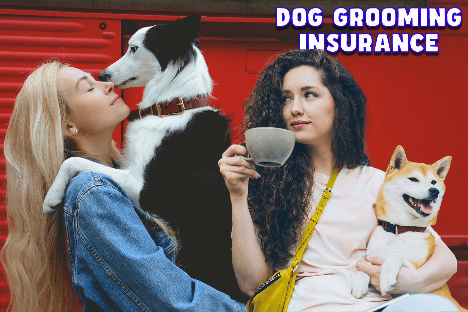 Dog grooming insurance