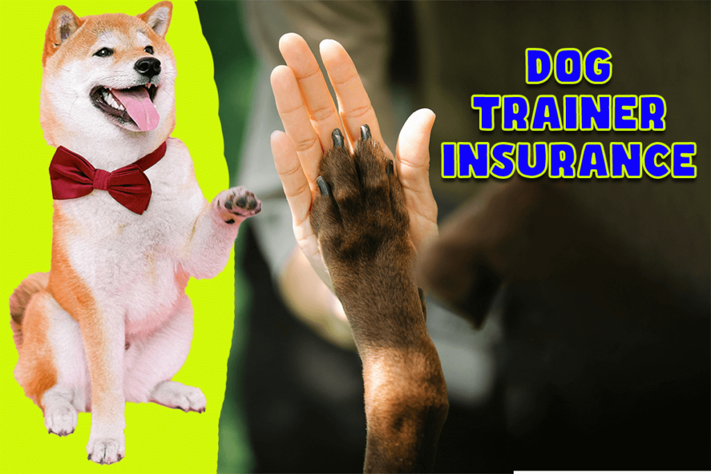 Dog Trainer Insurance