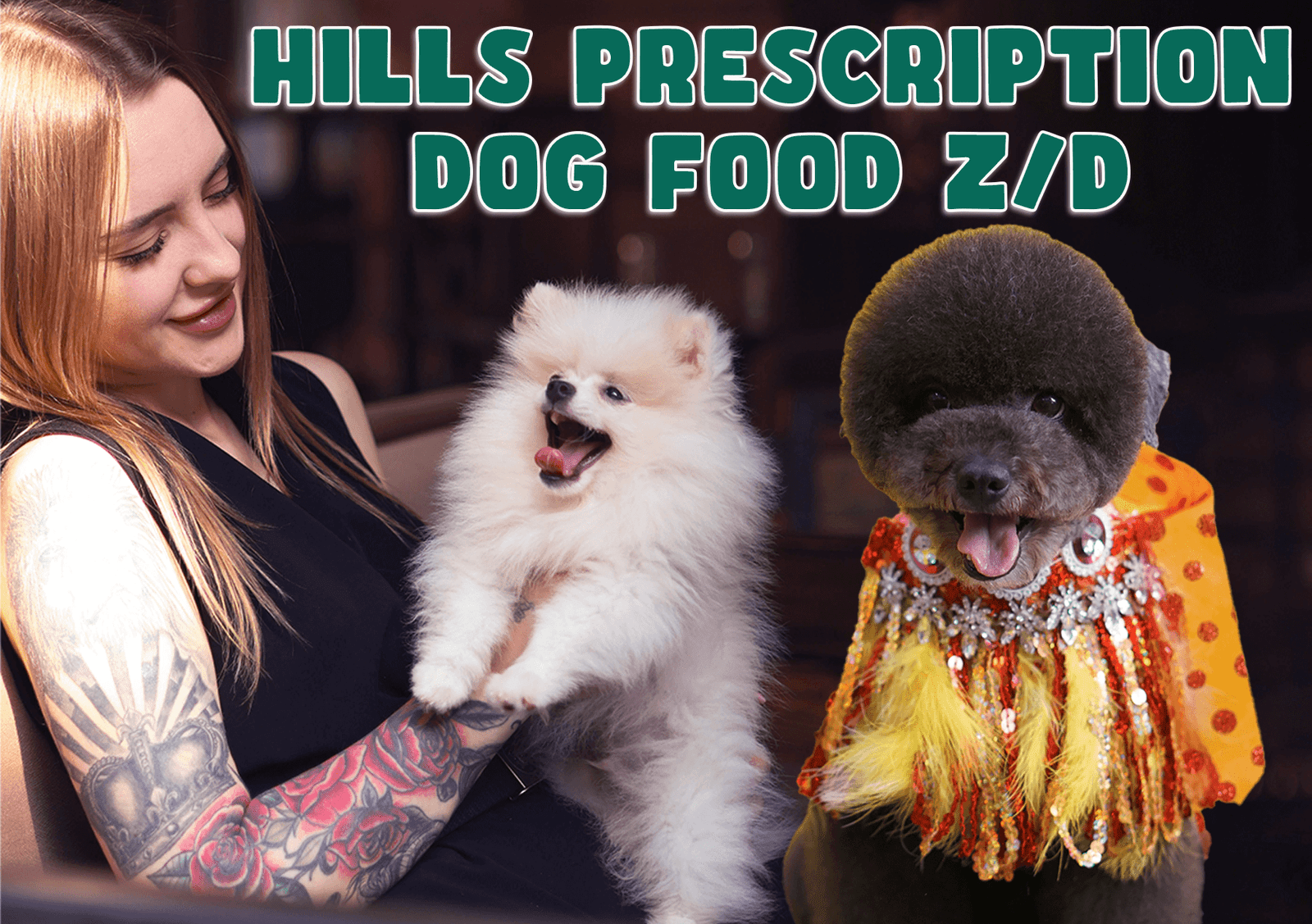 hills prescription dog food z/d
