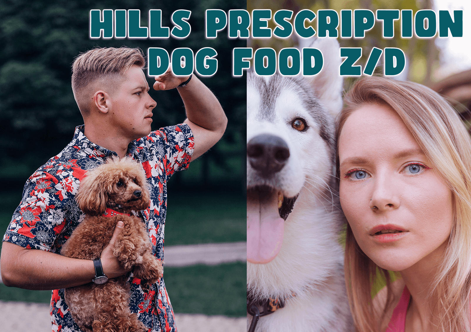 hills prescription dog food z/d