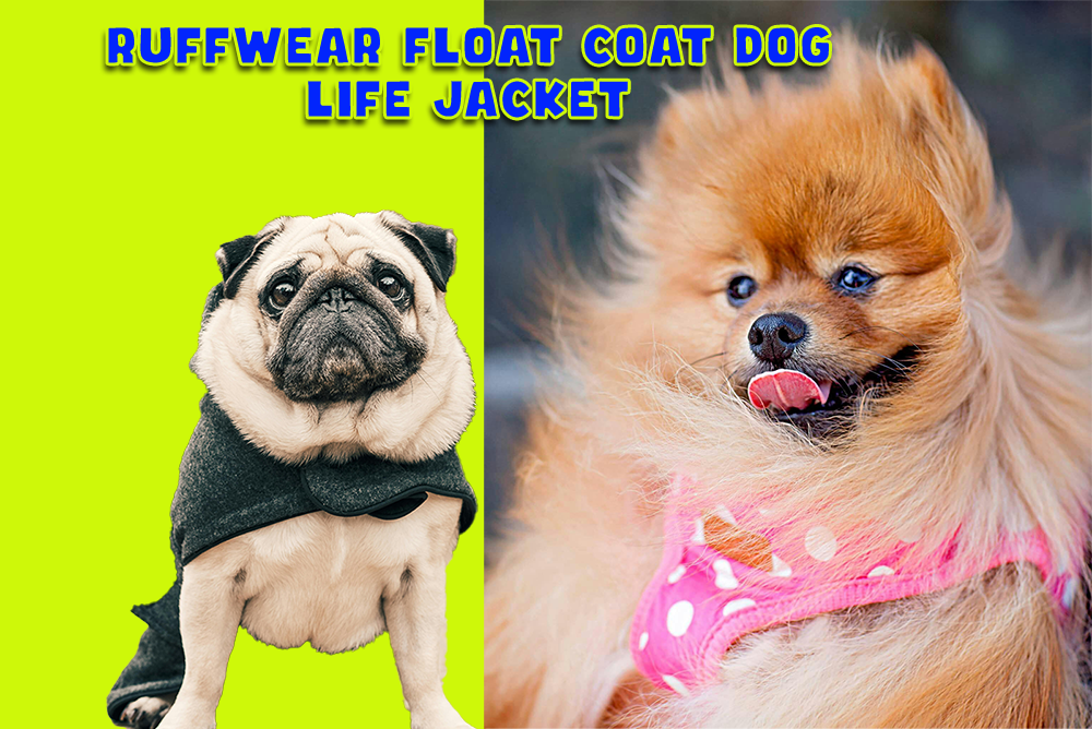 ruffwear float coat dog life jacket