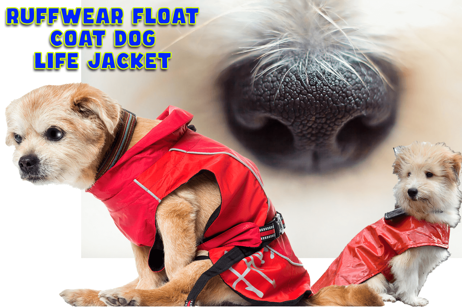 ruffwear float coat dog life jacket